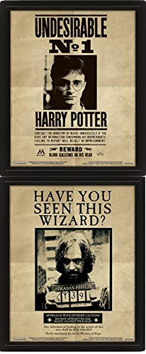 Cadre Harry Potter Sirius 3D
