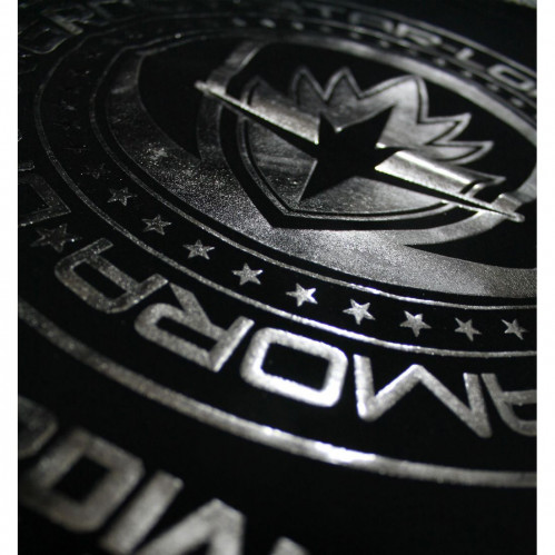 T-Shirt Logo Team Silver Gardiens de la Galaxie