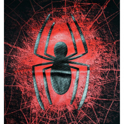 Tee-Shirt Noir 2017 Spider Spiderman