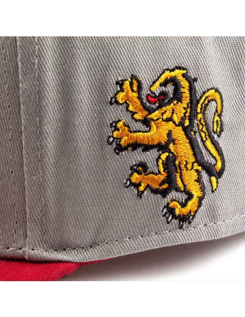 Casquette Harry Potter Gryffondor College School