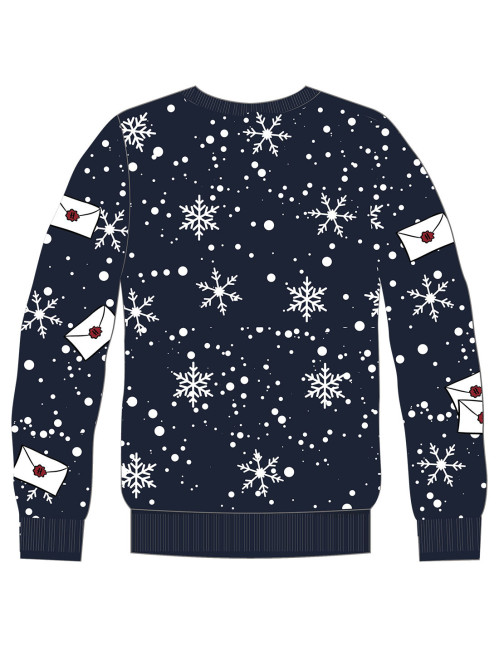 Pull de Noel enfant Harry Potter Hedwig bleu 5233