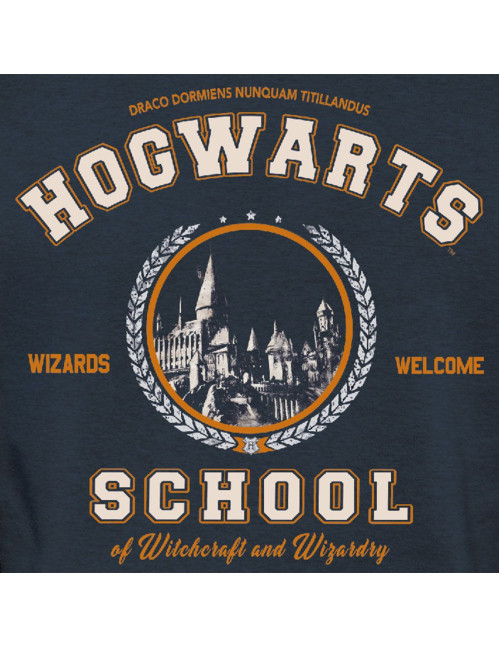 Sweat enfant Harry Potter bleu Hogwarts School