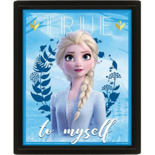 Cadre Reine des Neiges 3D