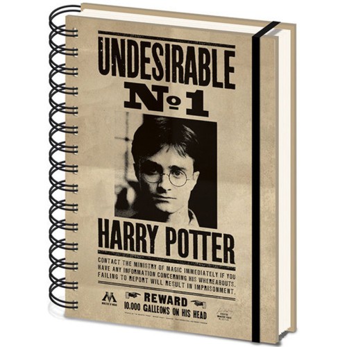 Carnet Bloc Notes A5 Harry Potter Sirius et Harry 3D