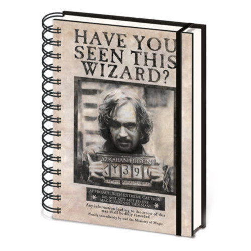 Carnet Bloc Notes A5 Harry Potter Sirius et Harry 3D