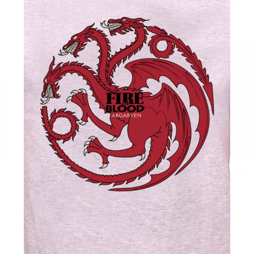 Tee-Shirt Gris Fire And Blood Game of Thrones