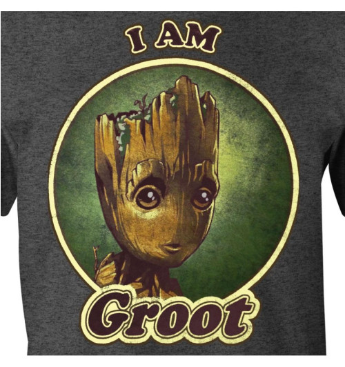 T-Shirt Groot Groovy