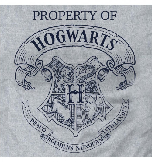 Tee-Shirt Harry Potter Femme Property Of Hogwarts gris