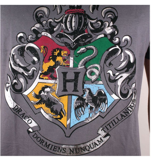 Tee-Shirt Harry Potter gris 4 écoles silver