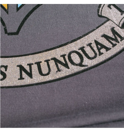 Tee-Shirt Harry Potter gris 4 écoles silver