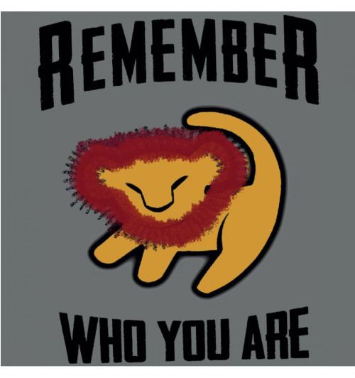 Tee-Shirt Roi Lion Remember Disney