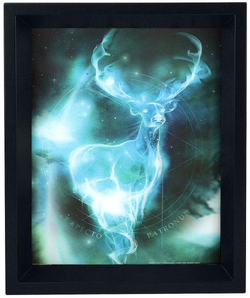 Cadre Harry Potter Patronus 3D