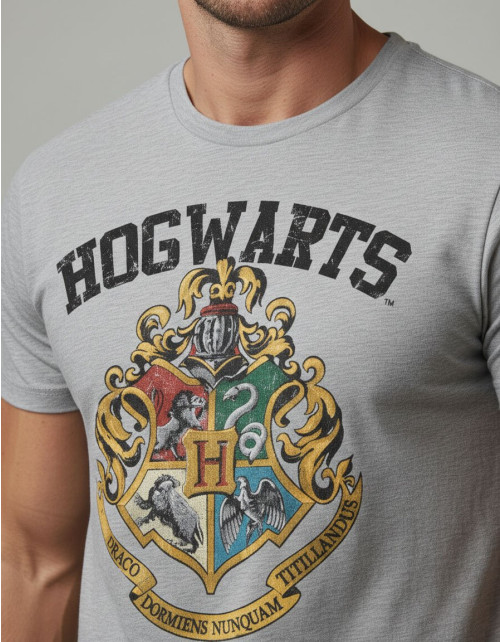 Tee-Shirt Gris Poudlard Harry Potter