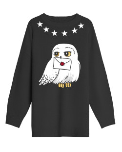 Pull long femme Harry Potter Hedwige