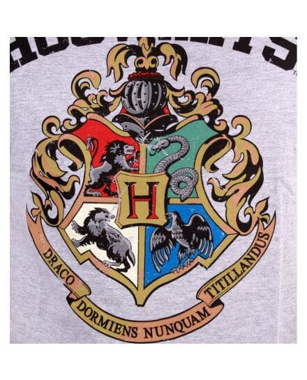 Tee-Shirt Gris Poudlard Harry Potter
