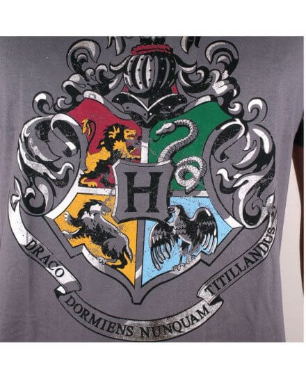Tee-Shirt Harry Potter gris 4 écoles silver