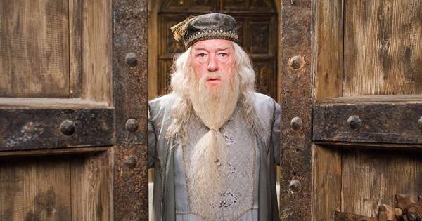 Professeur Albus Dumbledore